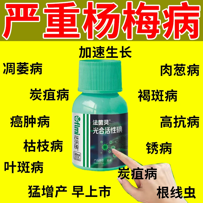 杨梅凋萎病杀菌剂杨梅病荃管黄叶病肉葱病炭疽病枯枝病专用叶面肥