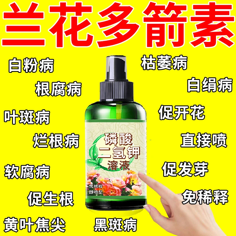 兰花多箭素兰花黄叶干尖黑斑烂根软腐专用杀菌剂直喷型懒人营养液