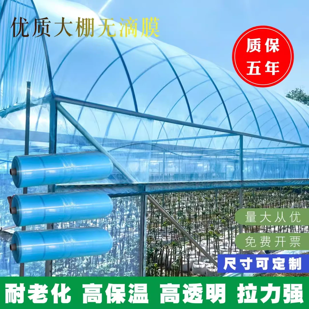 大棚塑料膜薄膜农用薄膜塑料薄膜塑料布保温大棚膜加厚防水膜批发