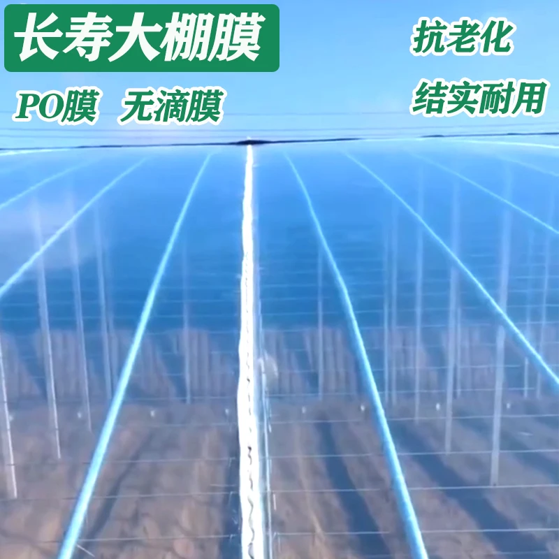 大棚塑料膜薄膜农用薄膜塑料薄膜塑料布保温大棚膜加厚防水膜批发