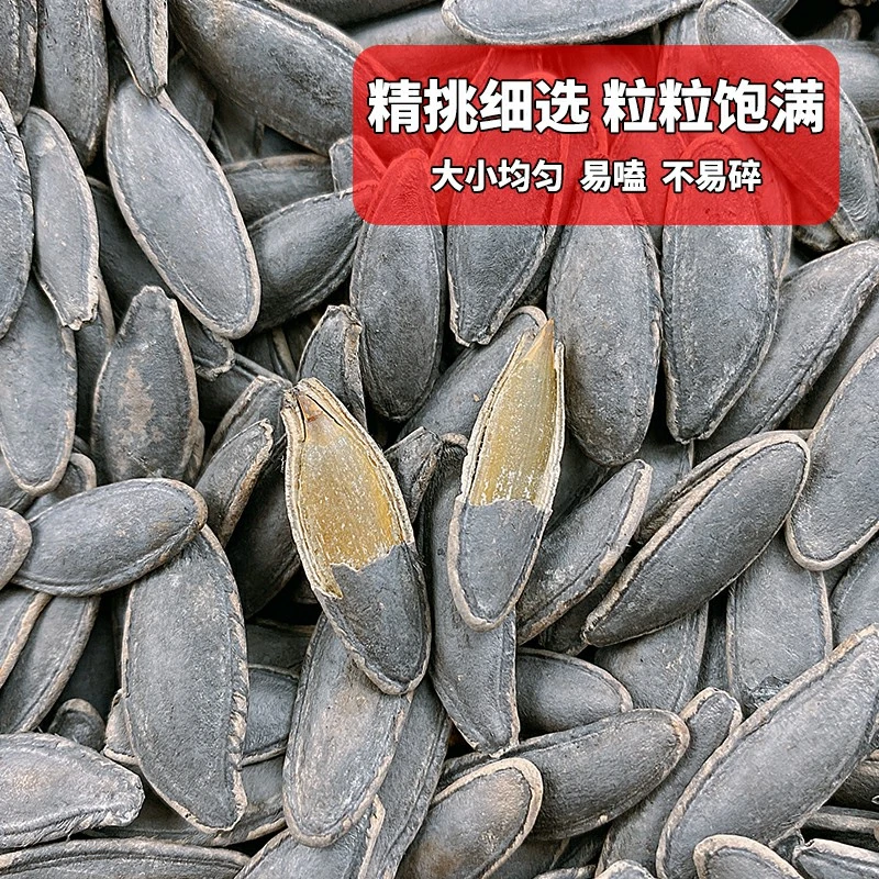 【美人甲南瓜子】新疆美人甲茶盐味南瓜子长粒饱满办公追剧小零食
