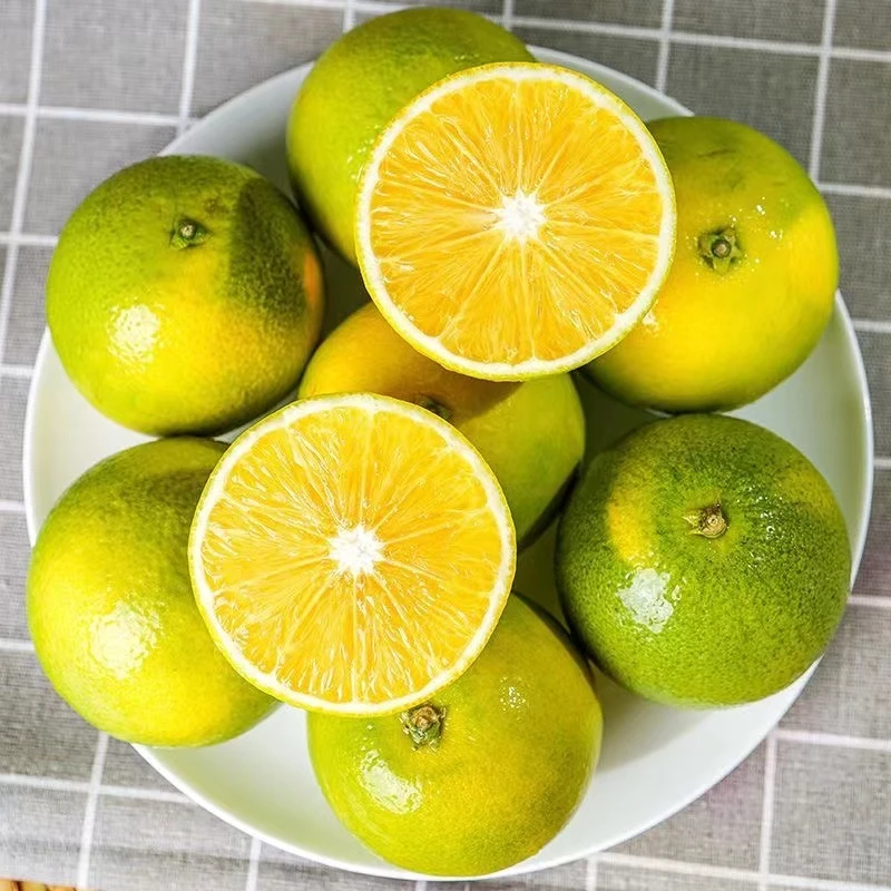 云南冰糖橙5斤 青皮橙子新鲜水果
