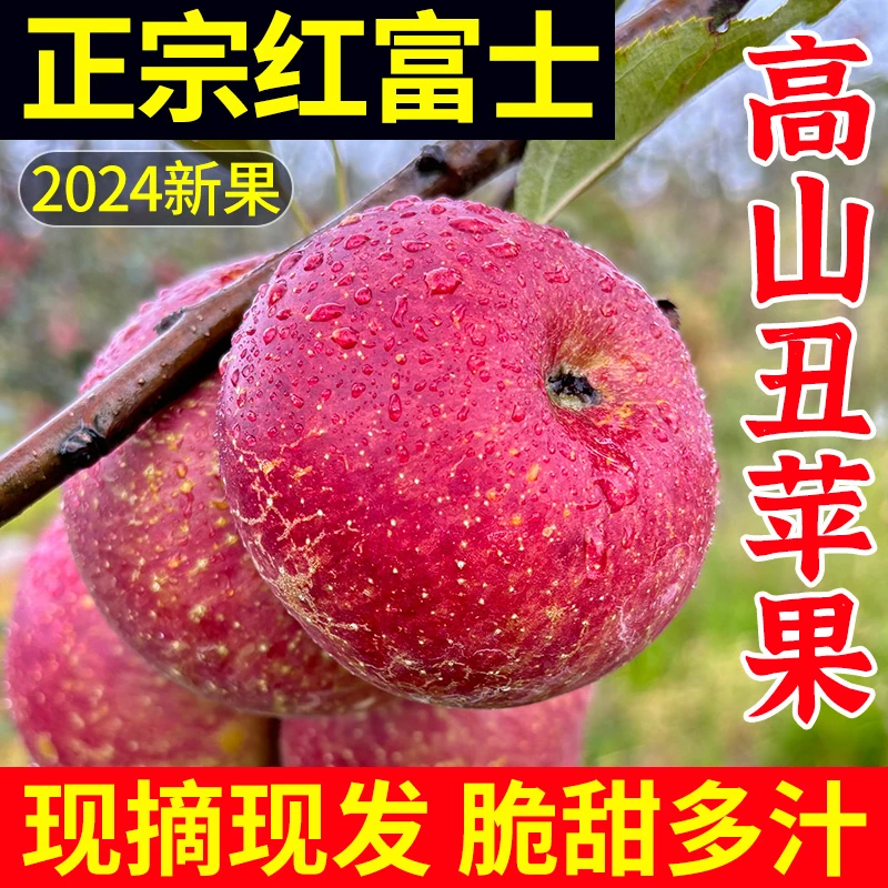 云南原生态丑苹果蒙自西北勒当季高原野苹果自然成熟现摘包邮