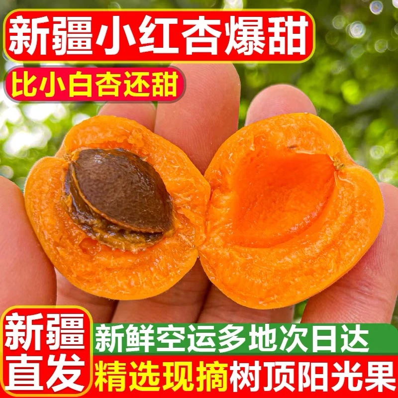 【麦麦儿专属】正宗新疆阿克苏小红杏吊干杏纯甜净果3斤顺丰空运