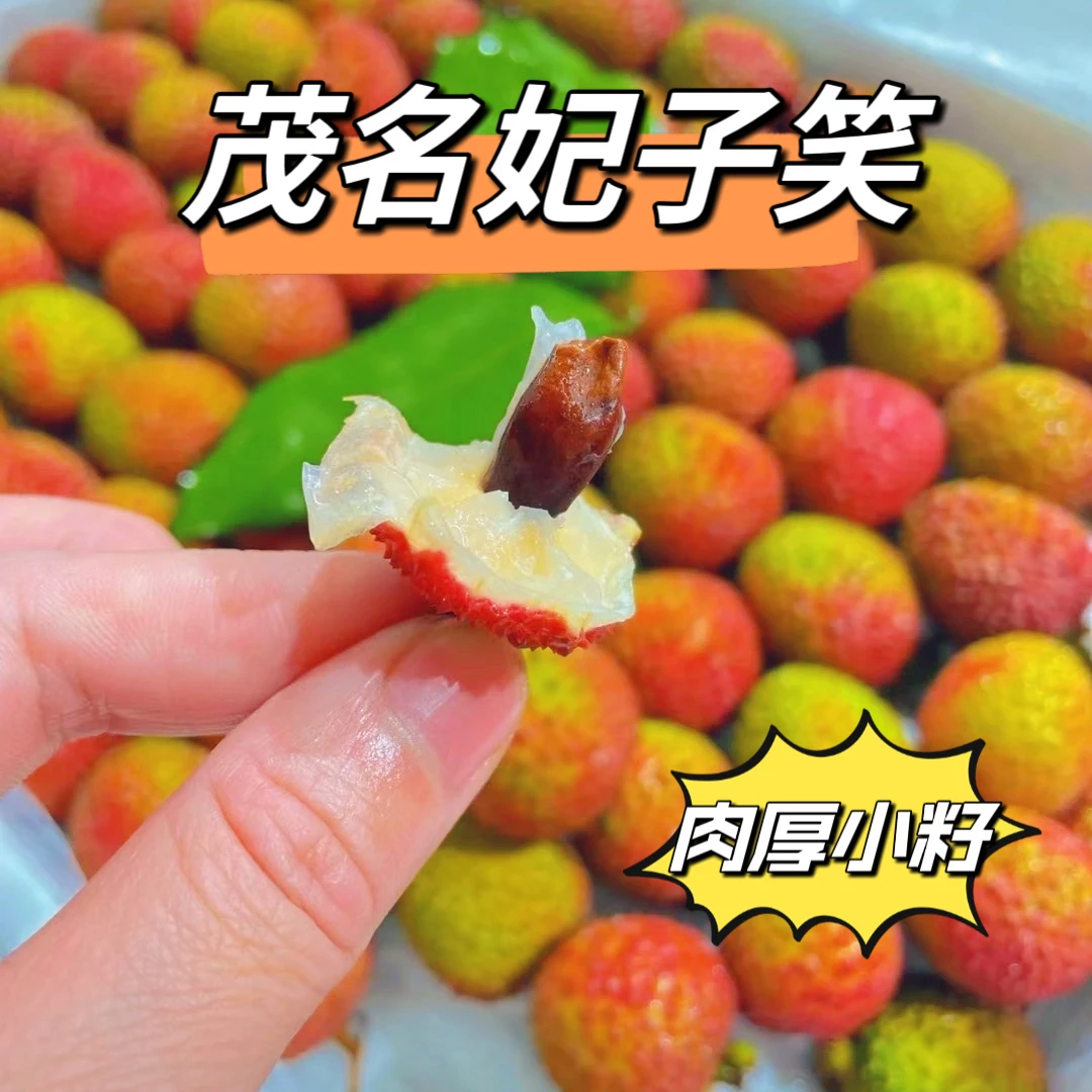 茂名妃子笑荔枝（广东省外）皮薄肉厚小籽多汁顺丰空运现摘现发包邮