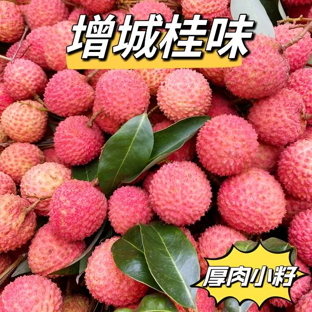 【广东省内】增城桂味荔枝现摘现发小籽厚肉有蜜香味顺丰京东包邮