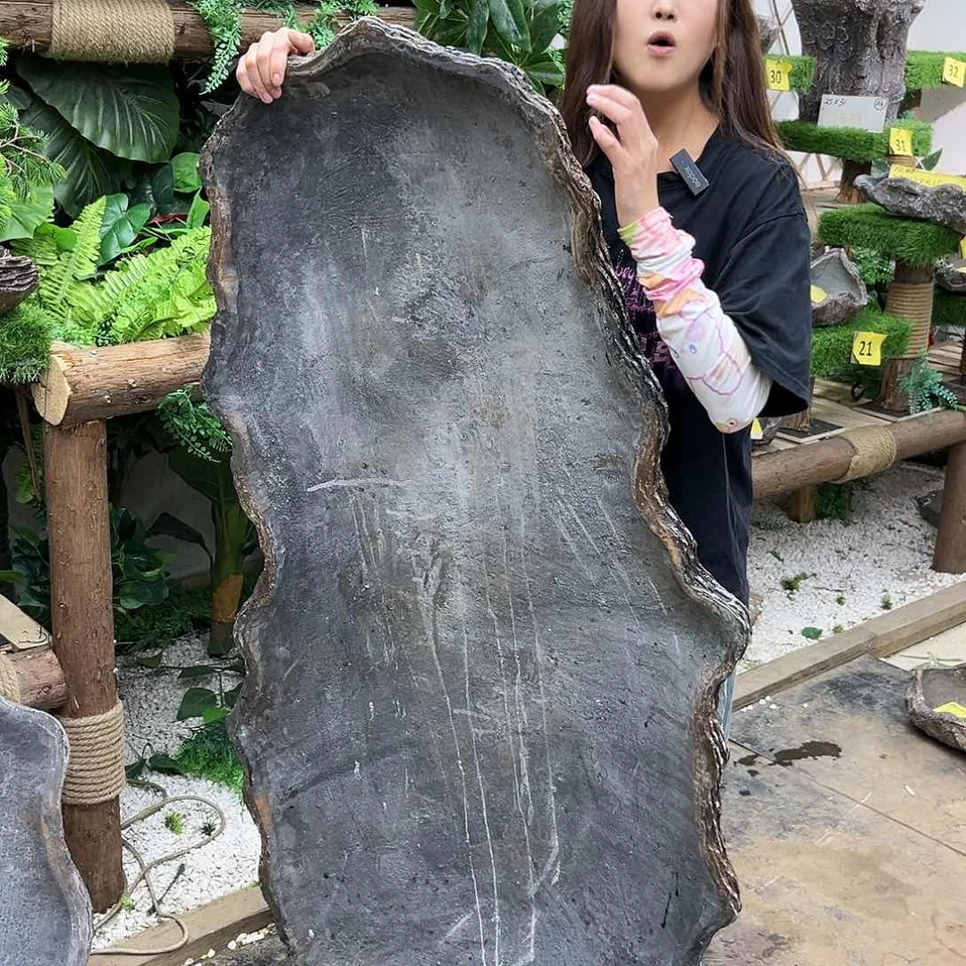 盆景等艺术品的收p5-009