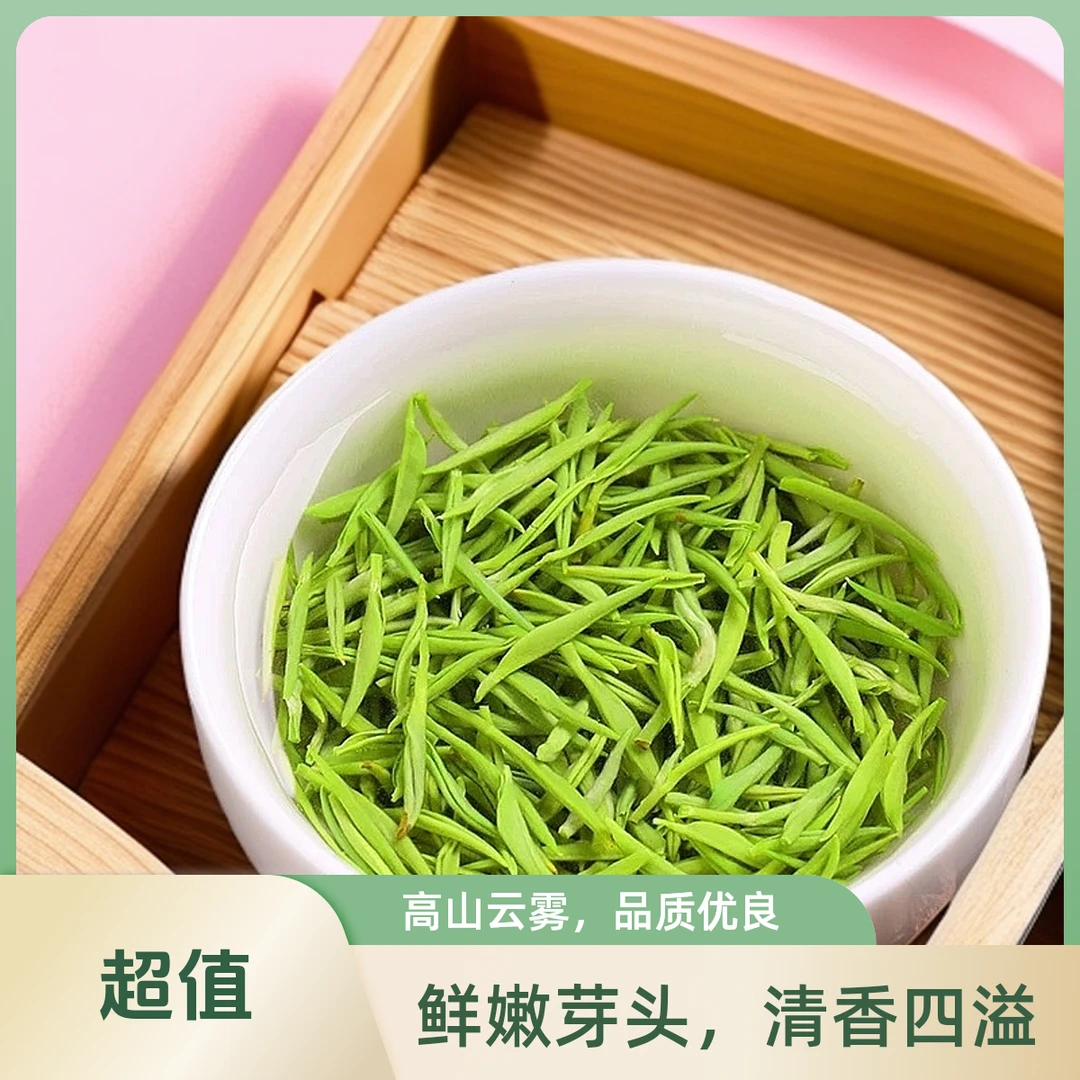 2025明前小芽信阳毛尖 新茶 鲜爽回甘兰花香