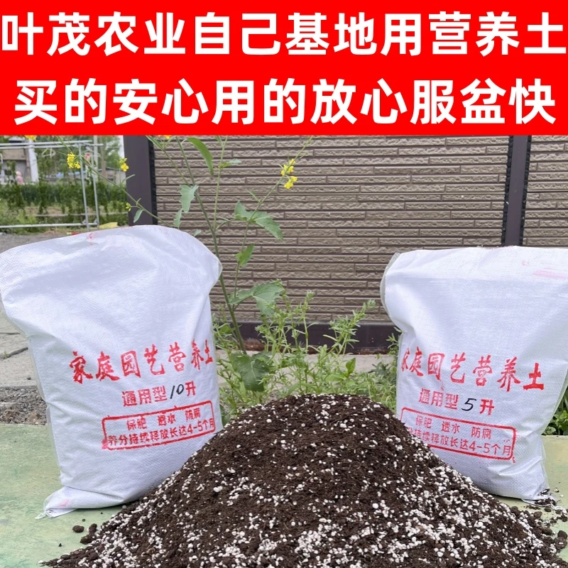 四季草莓秧苗瓜果蔬菜营养土植物通用型510L装家用透气有机种植土