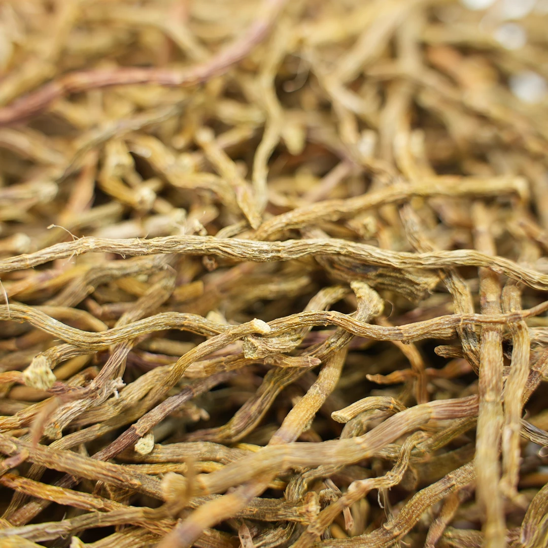 铁皮石斛条20g*5赠黑灵芝 精选石斛条满满胶质无渣可搭配枸杞