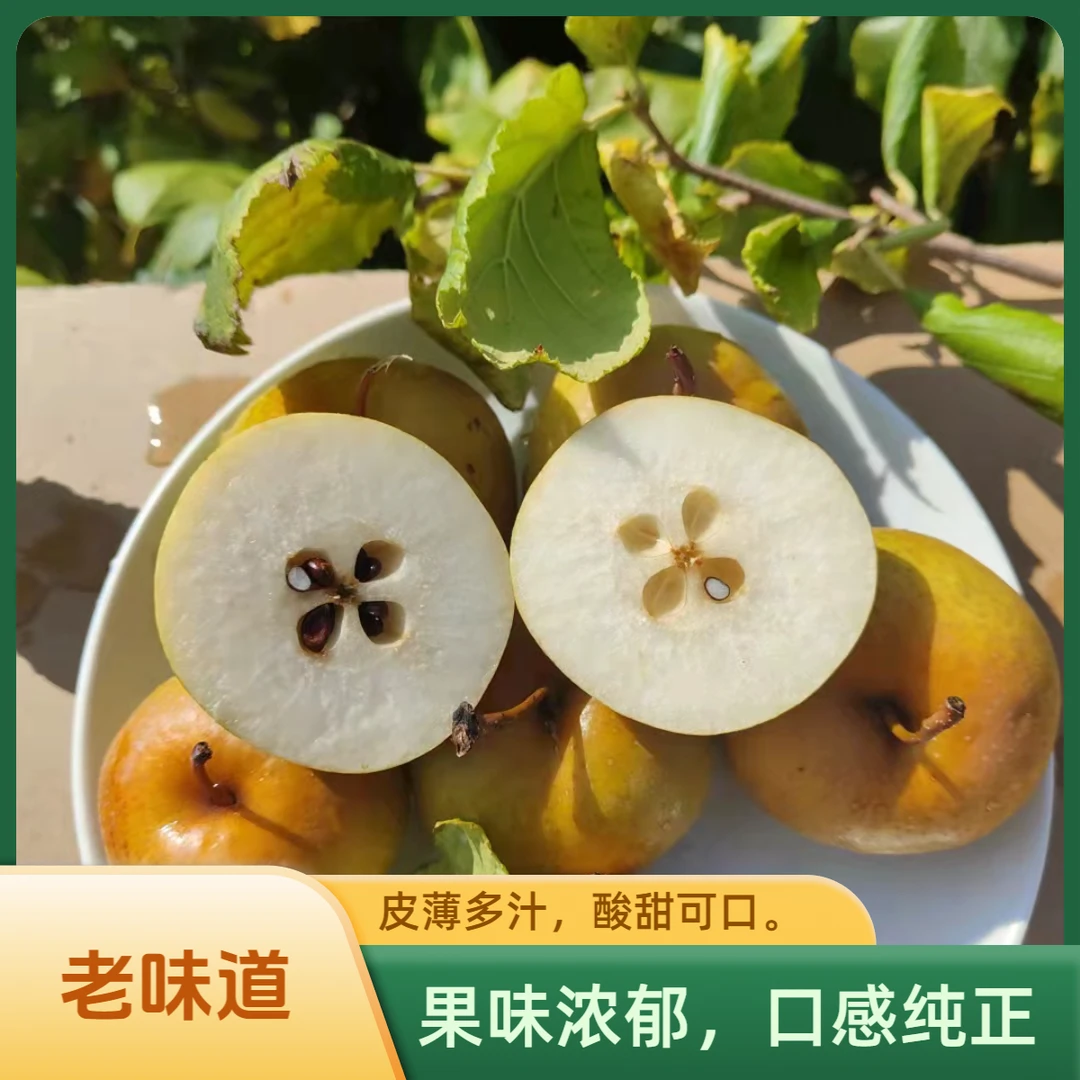 【黑龙江等地区专用】东北花盖梨老品种老味道可以做冻梨