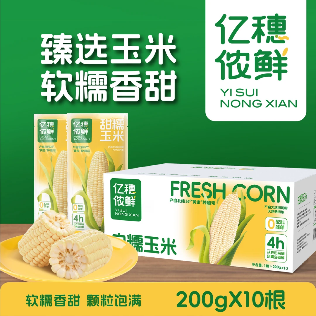 【24年头茬新黄糯玉米】山东胶州两河之畔软糯香白苞米整箱10根装