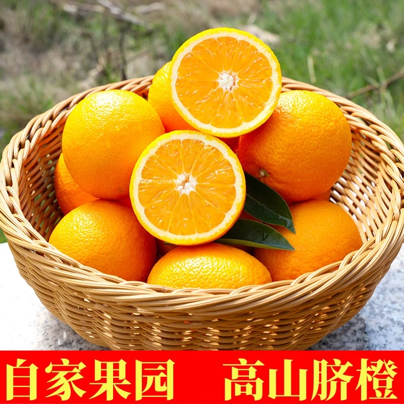 高山脐橙非赣南脐橙包邮