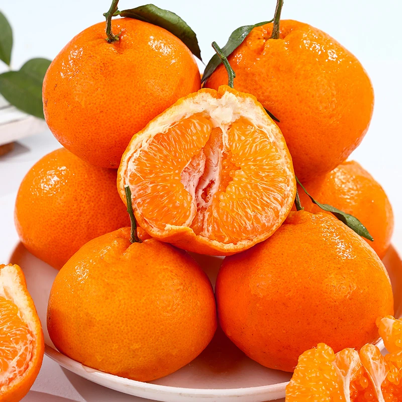 【正宗四川春见耙耙柑】自家果园新鲜采摘水果4.5--8斤皮薄香甜