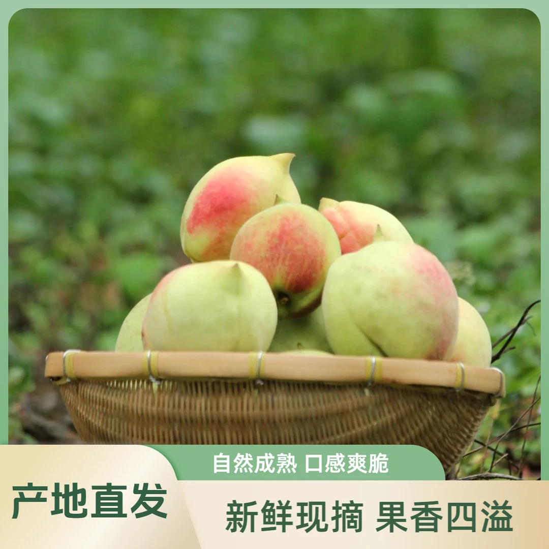 正宗广东连平鹰嘴蜜桃现摘中果新鲜采摘产地直发脆甜鲜嫩多汁