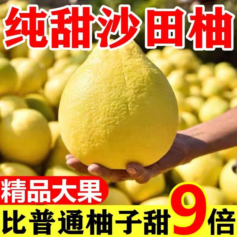 【邮政补贴】广西正宗老树沙田柚纯甜无酸新鲜水果皮薄肉厚清甜水果