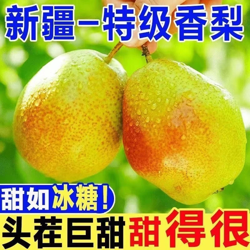 【库尔勒香梨】当季新鲜水果 薄皮香甜产地直发正宗香梨【拒绝假货】