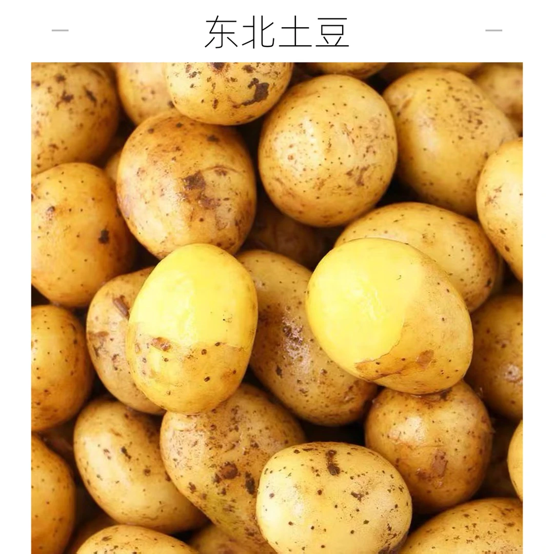 东北混装蔬菜土豆9-10斤装2024新鲜带泥黄皮土豆炖汤土豆泥土豆丝
