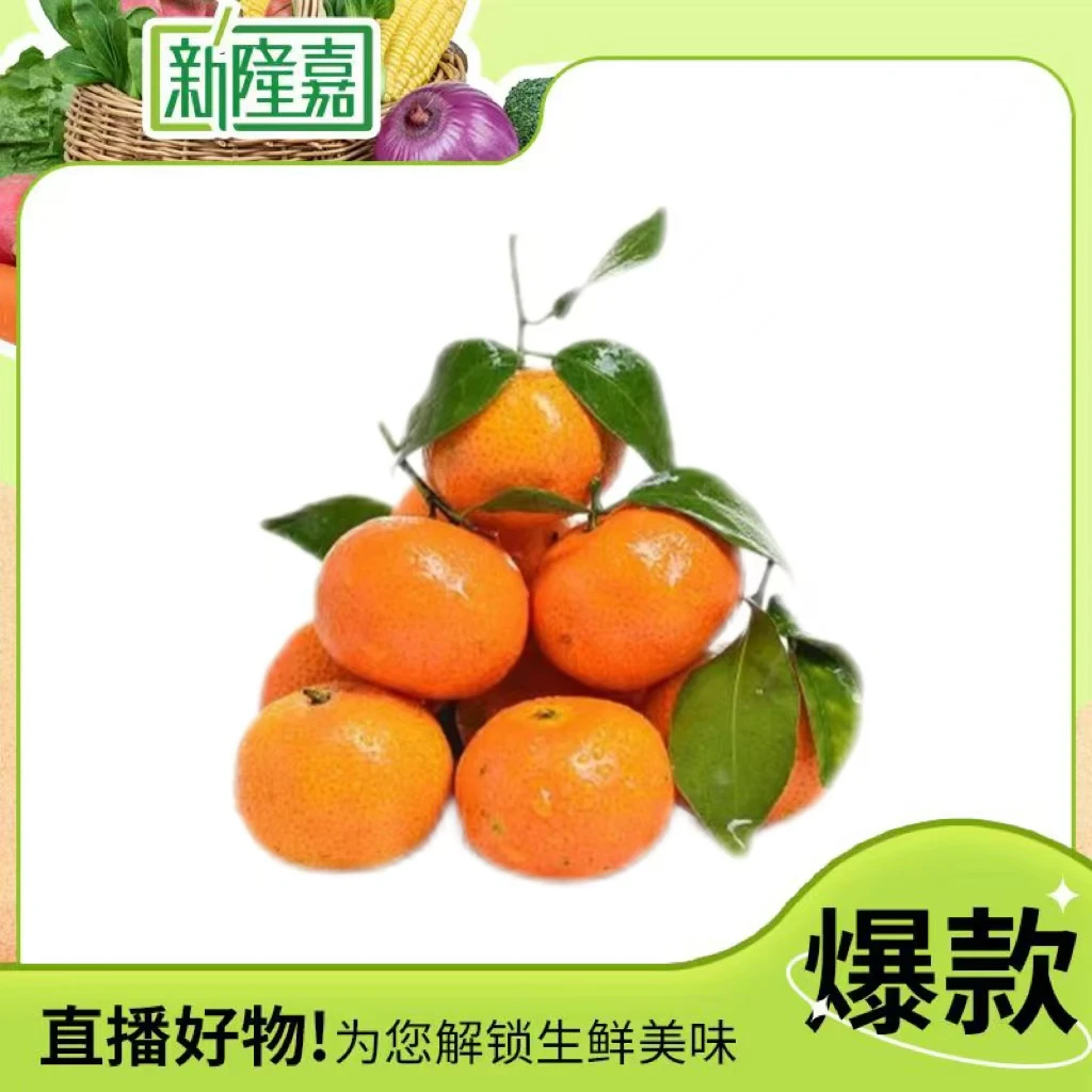 金秋砂糖桔 1400-1500g/份