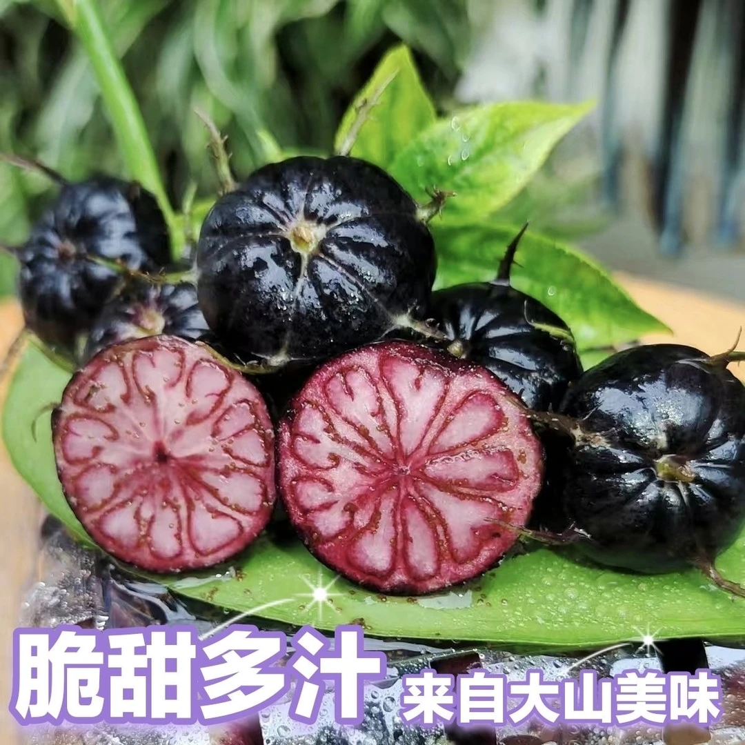 云南高原红果参新鲜水果酸甜蜘蛛果算盘果现采现发顺丰到家