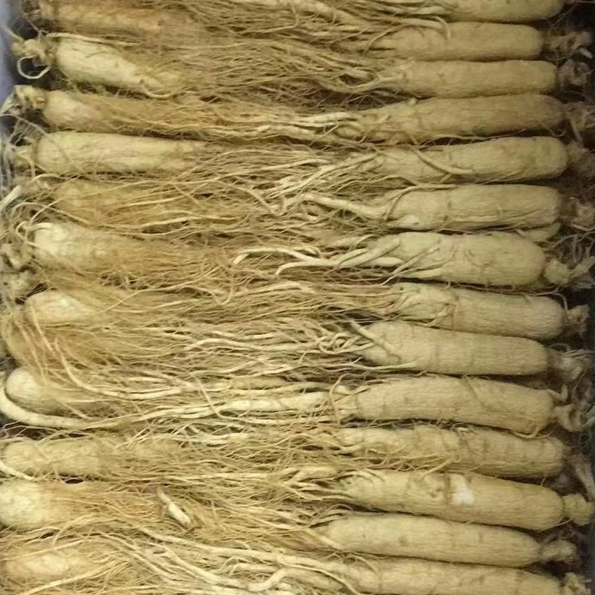 长白山生晒干参低残留无硫磺山地六年参二十多条一斤的优质大人参