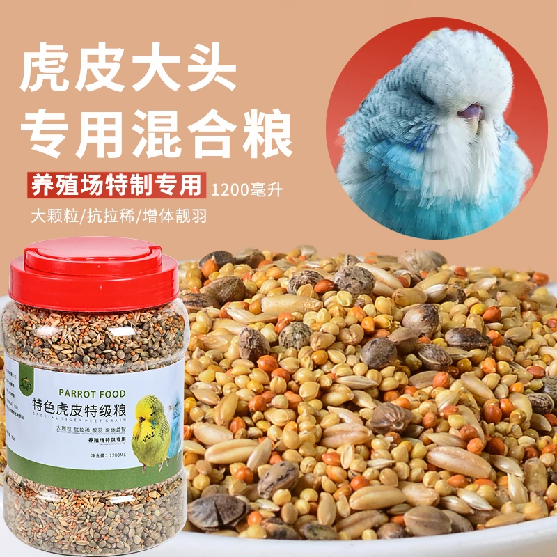 包邮精选虎皮大头专用鸟粮特色混合粮鸟食鹦鹉饲料谷子营养食物