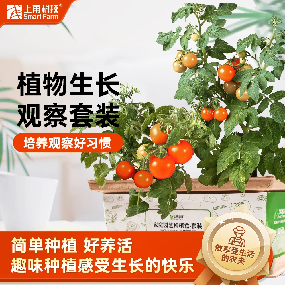 上甫科技家庭种植盒 植物观察种植盒儿童礼品鲜花绿植进口营养土