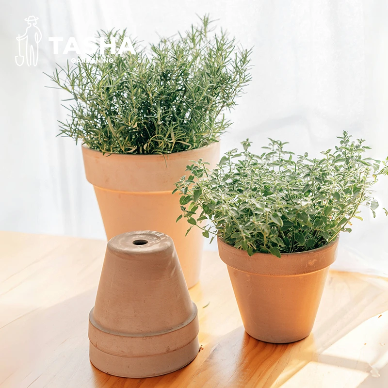 塔莎的花园帝罗马国际花盆 透气陶土陶泥优质经典