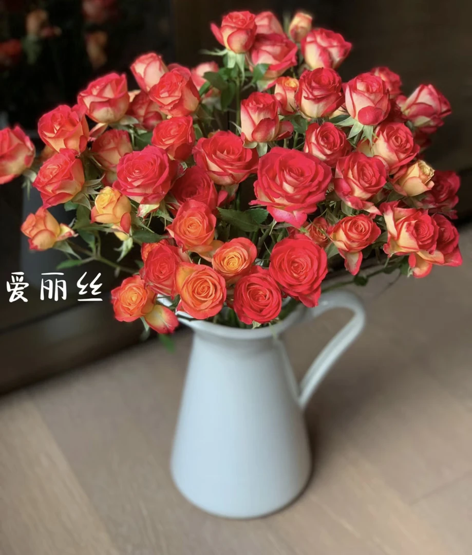 爱丽丝10支 两单包邮