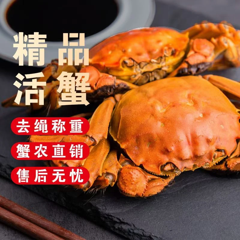 【活蟹现发】精品大闸蟹礼盒装10只公蟹3-2.8两5只+母蟹2-1.8两5只