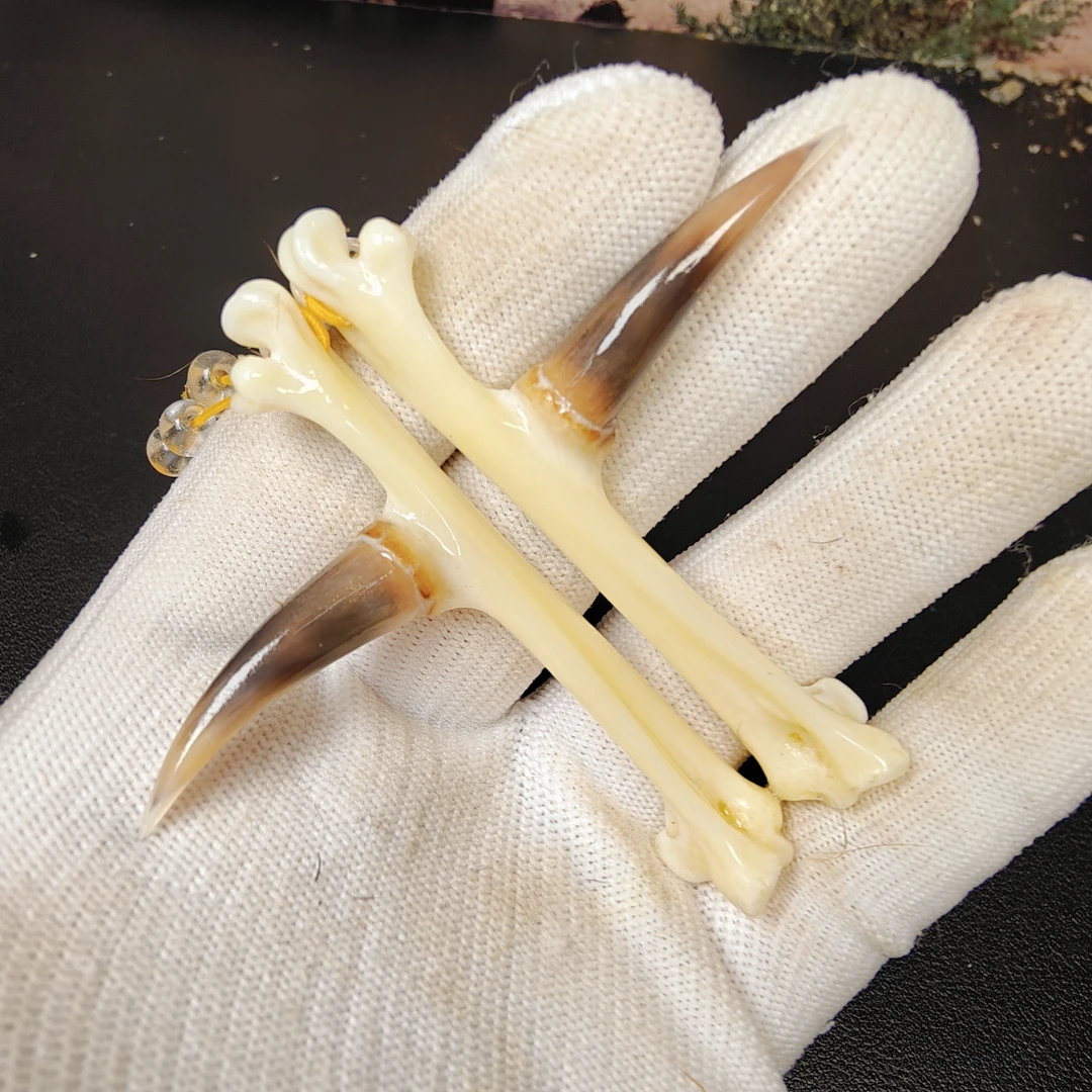 福缘骨艺鸡爪骨一对