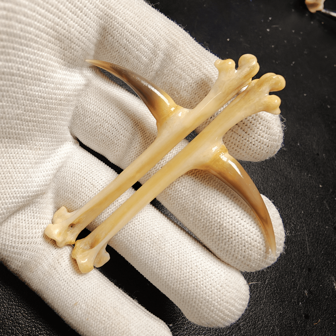 福缘骨艺鸡爪骨小山鸡一对