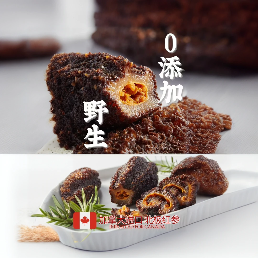 即食北极红参加拿大无添加味道鲜美海参家庭装
