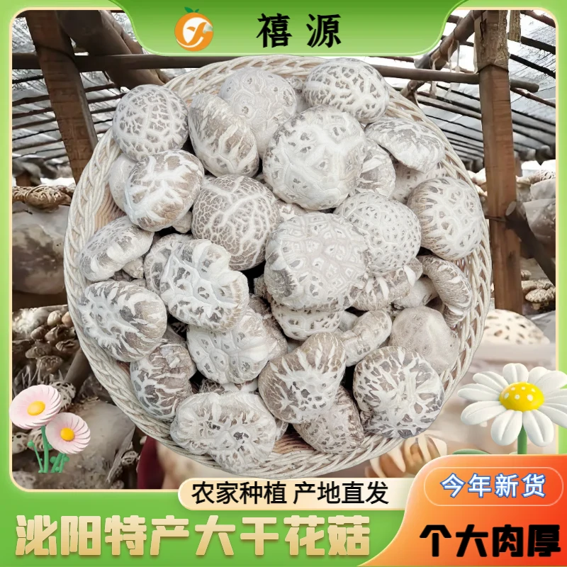 泌阳香菇大花菇6-7cm手选新花菇干货农家冬菇蘑菇无剪腿个大肉厚