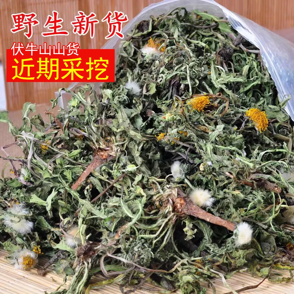 野生 蒲公英 新货 野生蒲公英茶 婆婆丁 带根纯干的花茶中药材