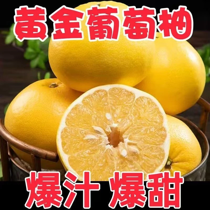 福建黄金葡萄柚柚子整箱新鲜应季水果装礼盒黄肉西柚