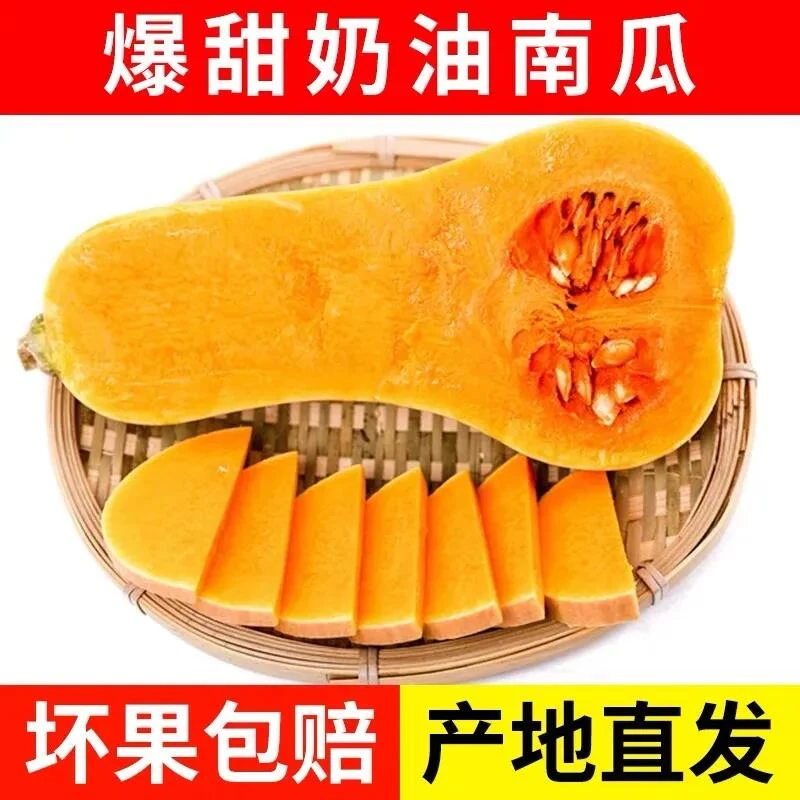 正宗奶油南瓜农家种植奶油小南瓜粉面香甜自然健康实惠产地直发货