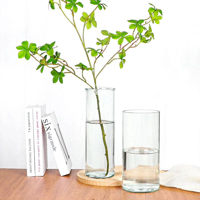 创意透明玻璃花瓶透明水养富贵竹鲜花绿植客厅桌面网红花瓶摆件