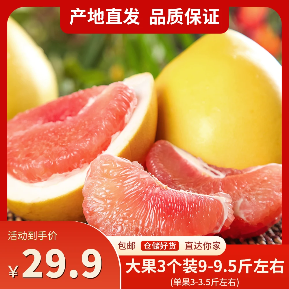 福建琯溪红心蜜柚薄皮新鲜酸甜多汁大果3个装 9-9.5斤坏果包赔