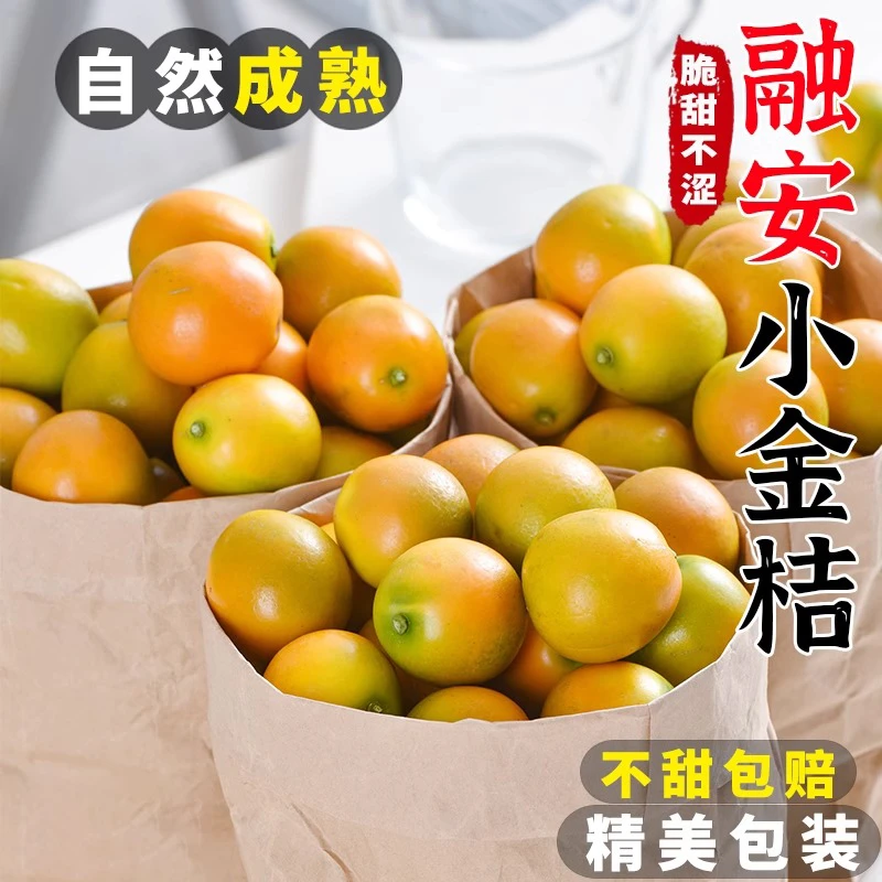 广西融安金桔新鲜采摘小金桔当季水果砂糖柑桔子整箱包邮脆蜜金桔
