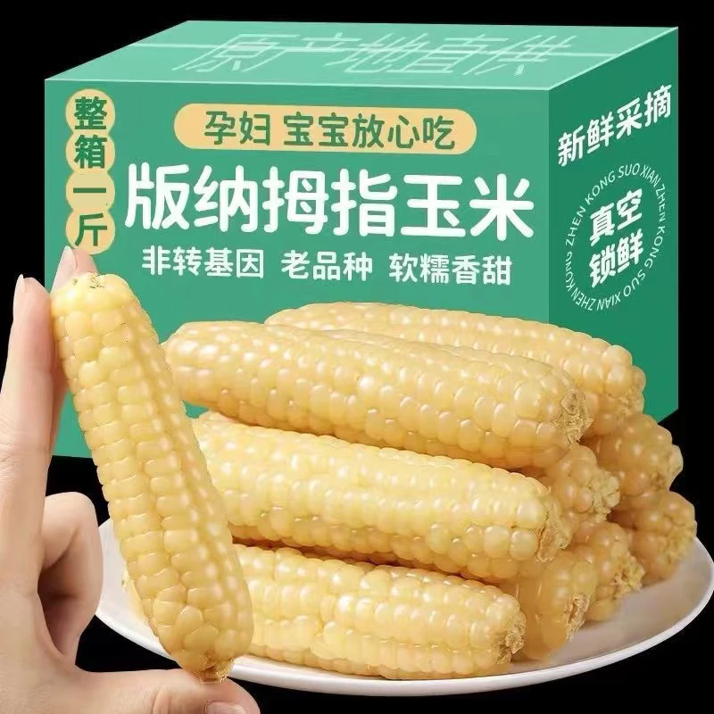 云南版纳拇指玉米香糯小玉米傣家甜黏手指宝宝玉米小玉米软糯香甜