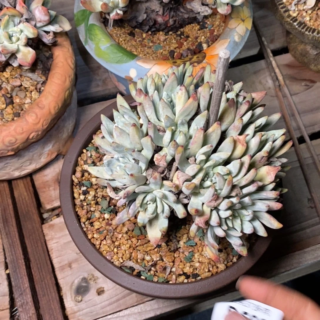 599个哈哈哈哈哈哈哈哈哈哈