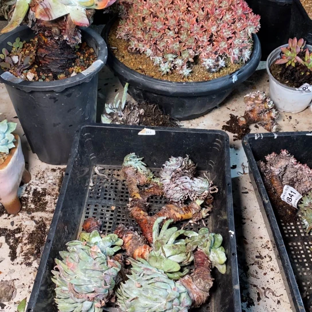 2859哈哈哈哈哈哈哈哈哈哈