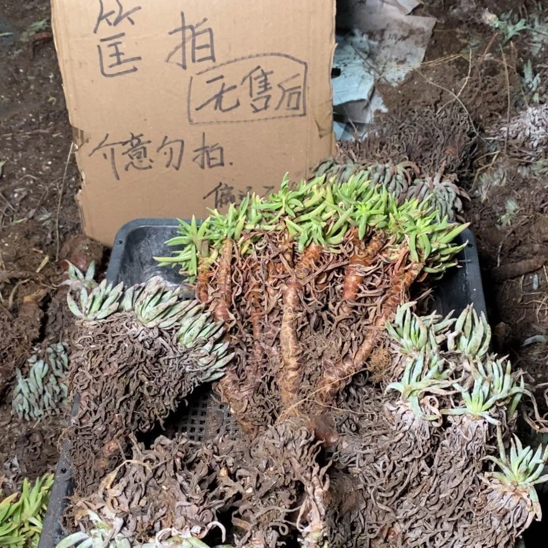 67哈哈哈哈哈哈哈哈哈哈哈哈哈