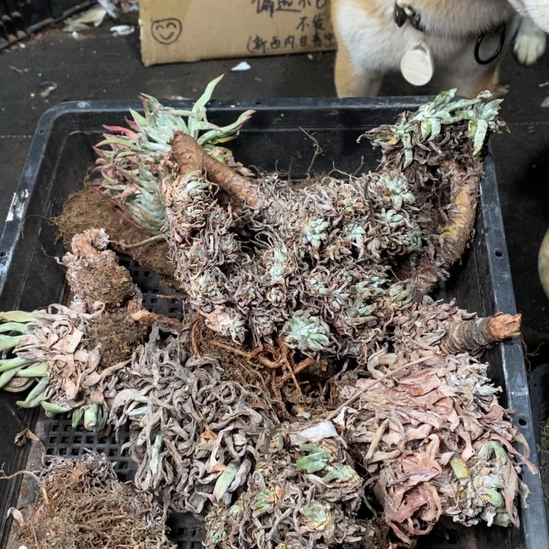 5742哈哈哈哈哈哈哈哈哈哈哈