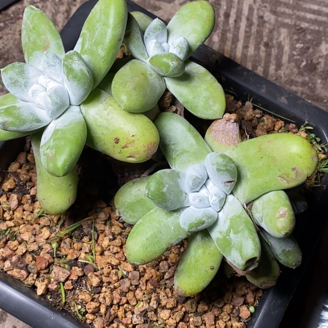 福*899哈哈哈哈哈哈哈哈哈哈哈哈哈