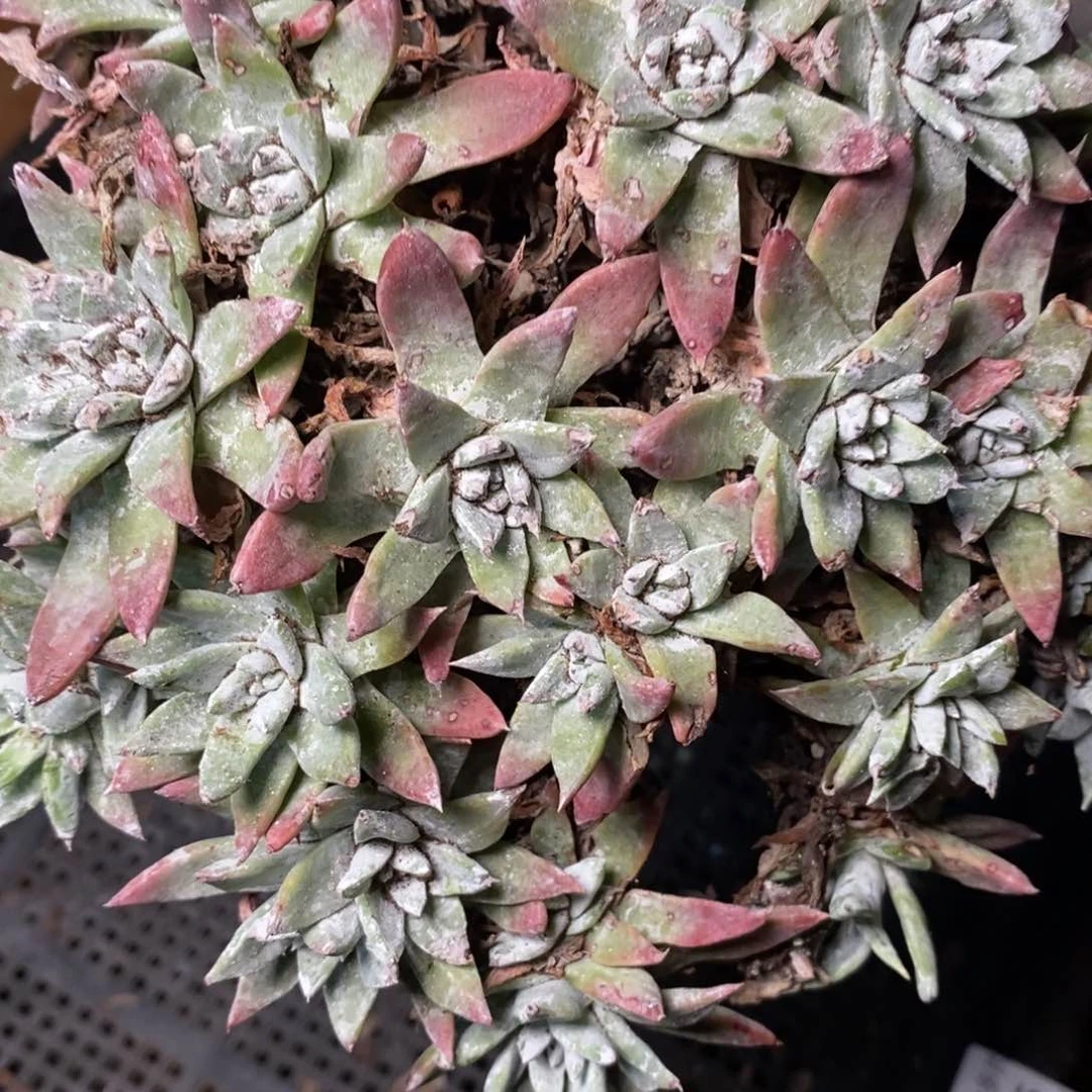 155哈哈哈哈哈哈哈哈哈哈