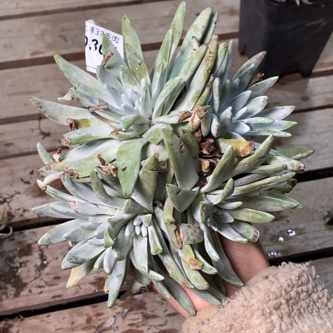 364哈哈哈哈哈哈哈哈哈哈哈哈哈哈