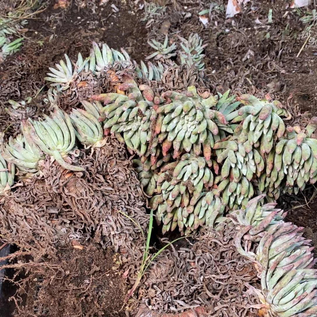 222个哈哈哈哈哈哈哈哈哈哈