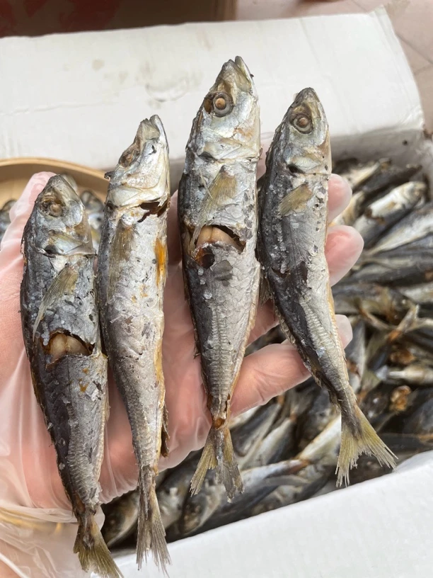 巴浪鱼干配粥配饭都香